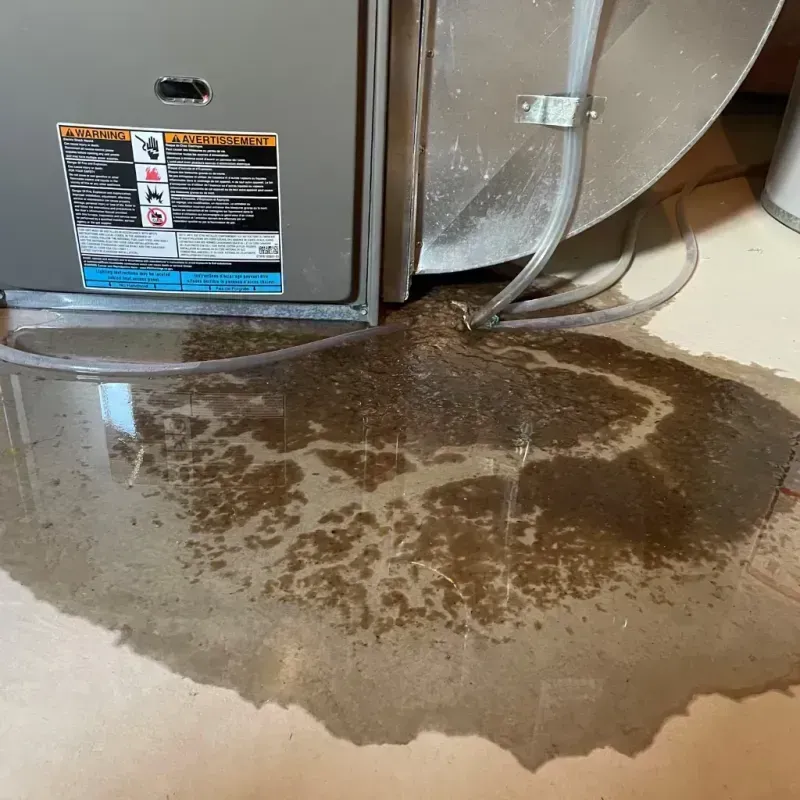 Appliance Leak Cleanup in Franklin County, ID